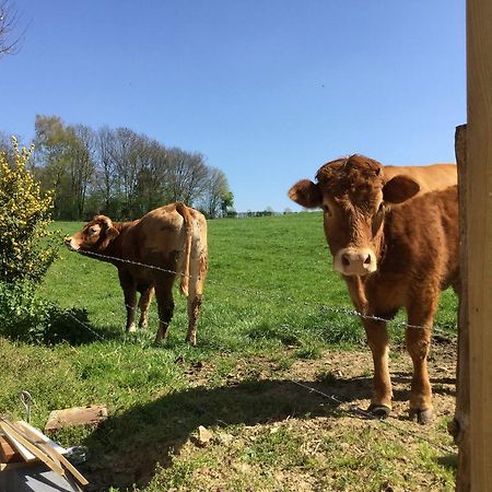 Vakantiewoning Kleijnen Noorbeek Eksteriør bilde