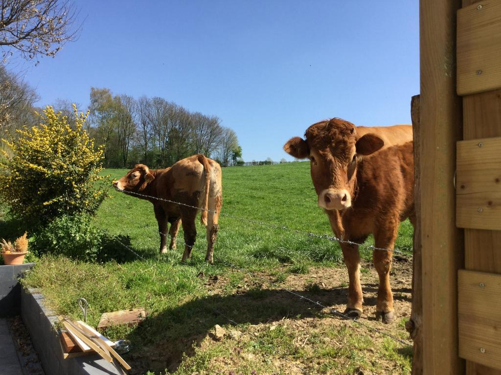 Vakantiewoning Kleijnen Noorbeek Eksteriør bilde